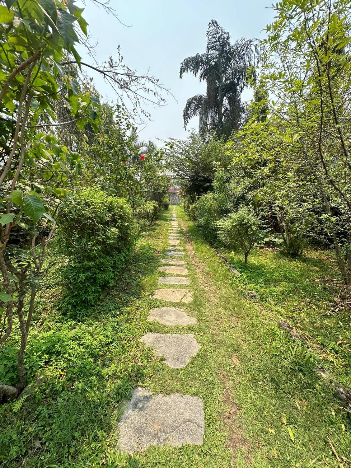 Cherry Garden Pokhara Zewnętrze zdjęcie