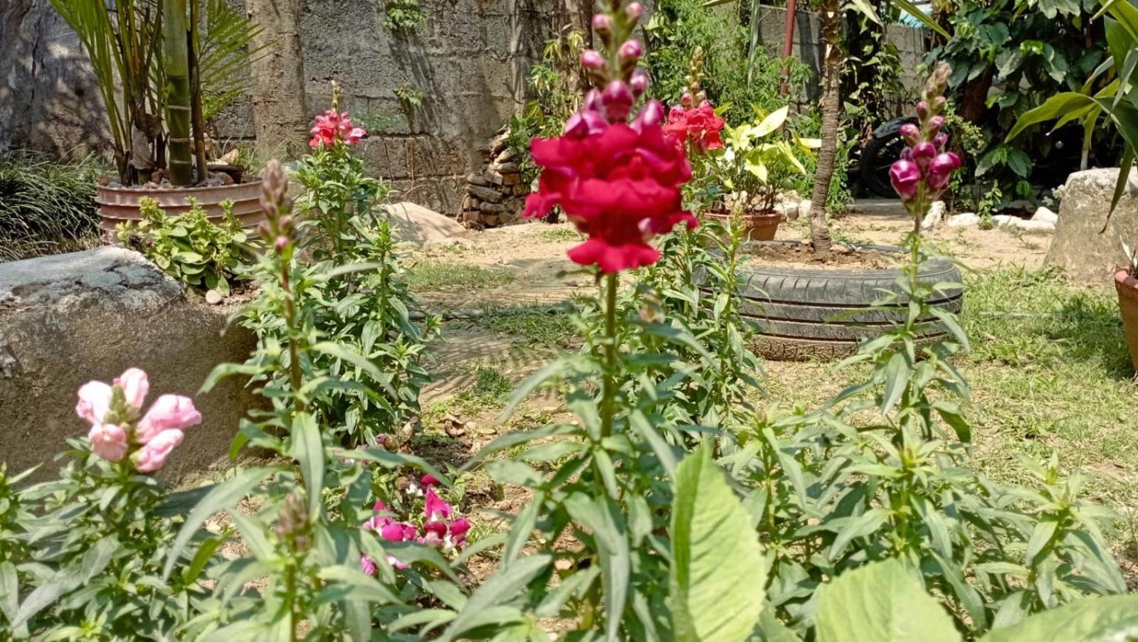 Cherry Garden Pokhara Zewnętrze zdjęcie