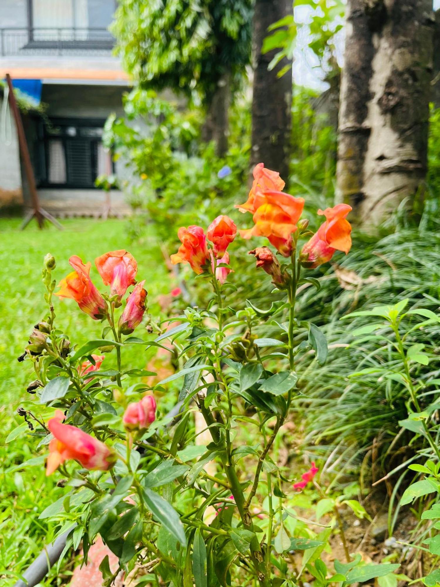 Cherry Garden Pokhara Zewnętrze zdjęcie